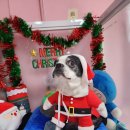 행복한요나네 이미지