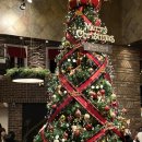 홀리크로스 이미지