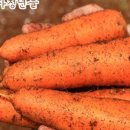 밀짚모자청년들