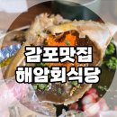 거보식당 | 경주 감포 맛집 해암회식당 오션뷰 해물장 솥밥 솔직후기