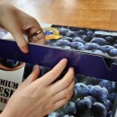 해오름농장-2 이미지