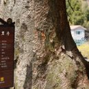 시목회관앞 이미지