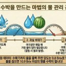 열매 태양광발전소 이미지