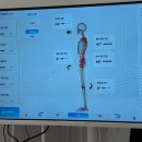 디젤체형교정센터 | 양산체형교정 양산필라테스 바름체형교정센터 후기