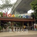 노아민박 이미지