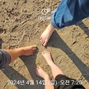 더불어숲작은도서관 맨발걷기모임 맨발덕분에👣(4.14) 이미지