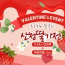 디저트데이 케이에스피뉴스