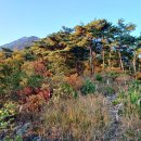 용문사 티스토리
