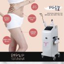 테라노바