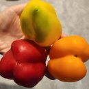 명문농장 이미지