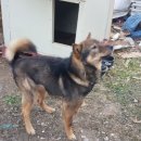 재왕 농장 이미지