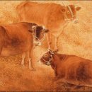 예찬축사 이미지