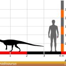 관골 | 콜로라도사우루스(Coloradisaurus) – 고대 안데스의 작고 민첩한 초식공룡