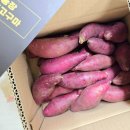 은애농장 이미지