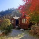 정선펜션 1박2일 이미지