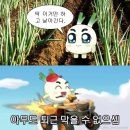 양파스토어
