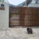 시밀레스테이 이미지