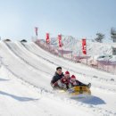 겨울연가 동상 | 비발디파크 스노위랜드-알파카 월드와 남이섬 후기