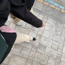 즐거운 인생🎵