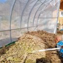 봄·초롱 하우스 이미지