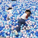 지안농장 이미지