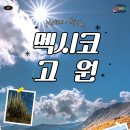 프라노주 이미지