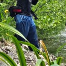 영인 낚시터 이미지