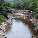 칠봉목장 네이버블로그
