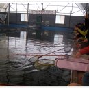 광석낚시터 이미지