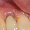 보배로운치과의원 이미지