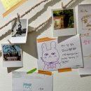 장수회관 네이버블로그