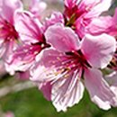 ㈜한국교통(마을버스) 이미지