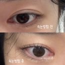 홀리몰리래쉬