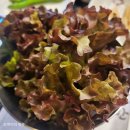 세븐일레븐(창원도계연화점) | 창원 도계동 소고기 맛집 우향한우갈비살