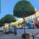 단양경희한의원 이미지