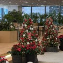 동광로27길 3 (1) | 크리스마스도 2024도 끄읏.