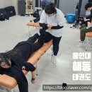 용인대 해동 태권도장 이미지