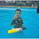 강철태권도 이미지