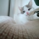 아이조아요양보호소 동탄점 이미지