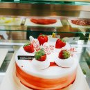 뚜레쥬르 제천신백점 이미지