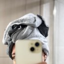 주식회사해피글로벌코리아 | |피플코리아 초극세사 긴머리전용 대형 타월| 긴머리타월, 초극세사타월 사용후기