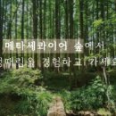 카페레스트