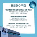 인셀덤-고운 네이버블로그