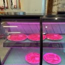 감동정육식당 | 부천 삼겹살 맛집 반찬 푸짐한 감동정육식당 원미동 고깃집