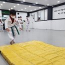 대나무태권도장 이미지