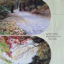 산들길 2구간 초입 | 주말의 쉼표 &lt; 바라산 와 폭포 와 rrroh 레스토랑 &gt;