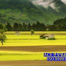 서울국제컨설팅행정사사무소 이미지