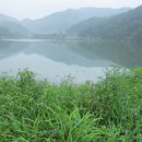 수곡낚시터(어은저수지) 이미지