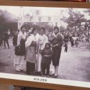 날리벚꽃장 이미지