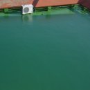 영진종합공사 이미지